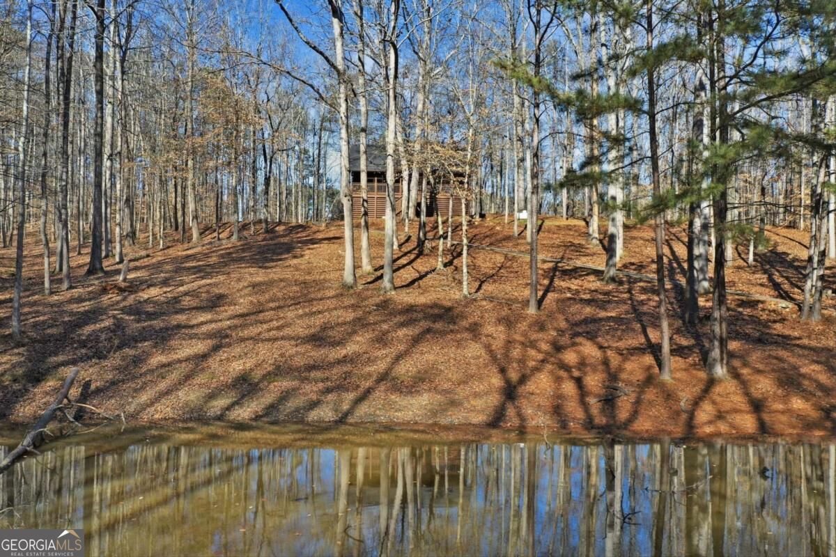 437 Twin Lakes Drive Canton - Photo 12