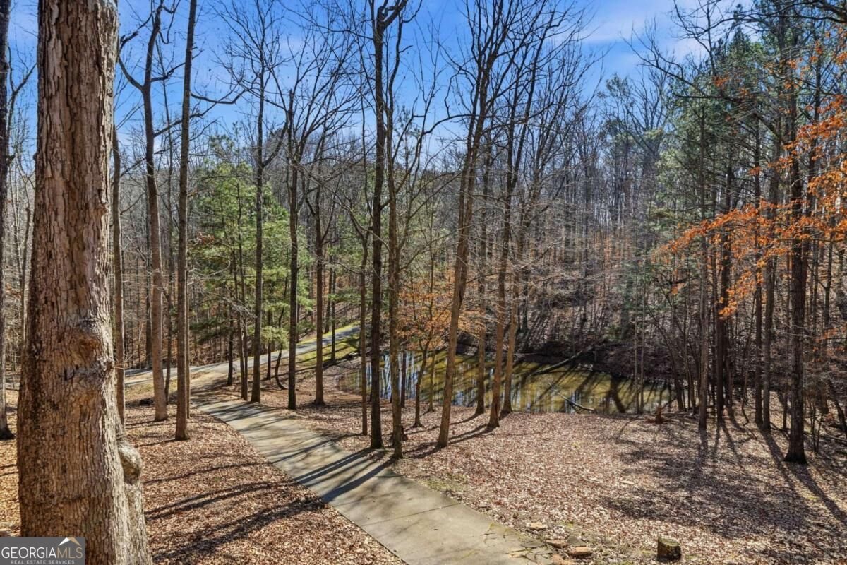 437 Twin Lakes Drive Canton - Photo 34