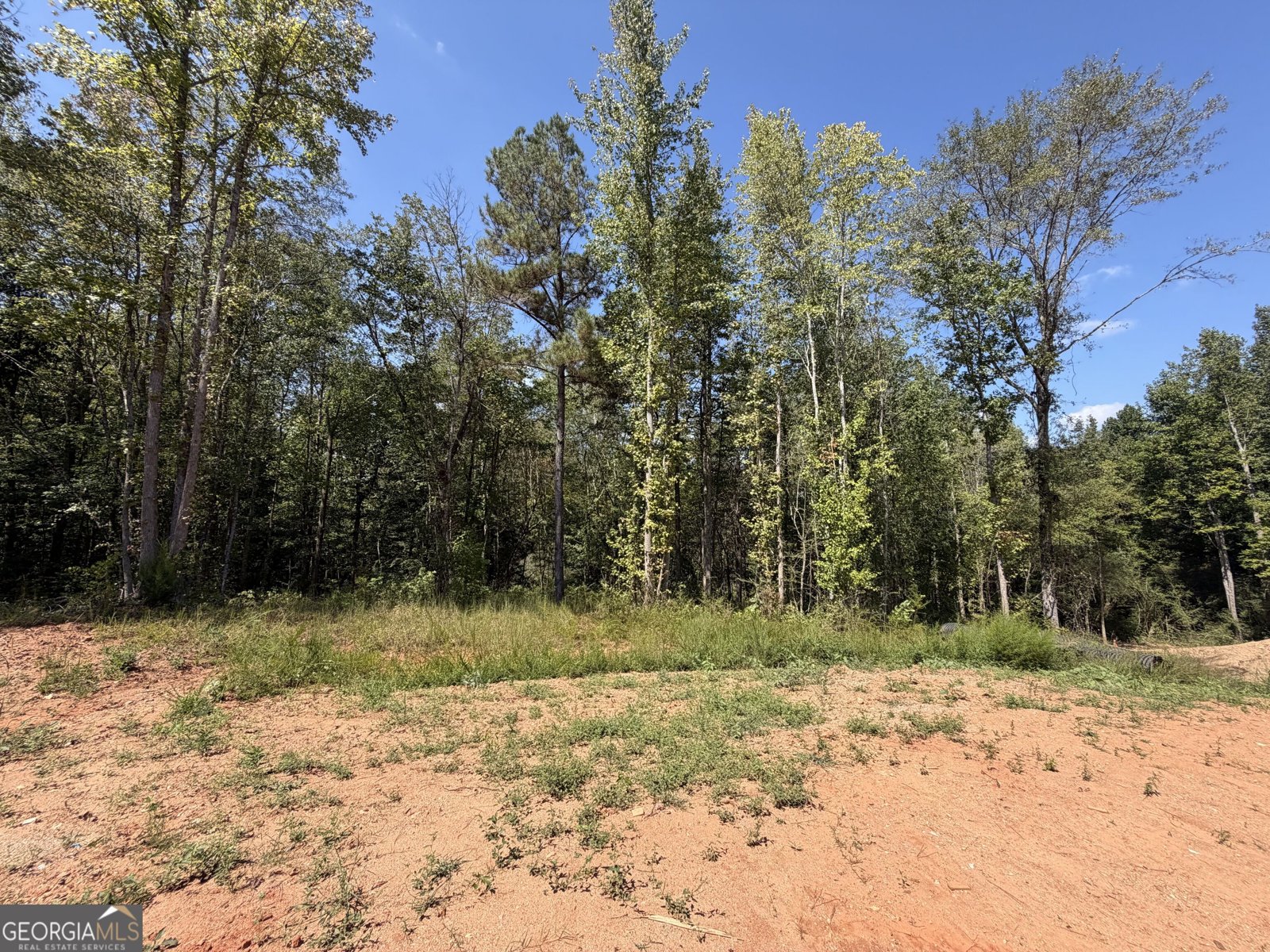 1736 Armstrong Mill Road Franklin - Photo 13