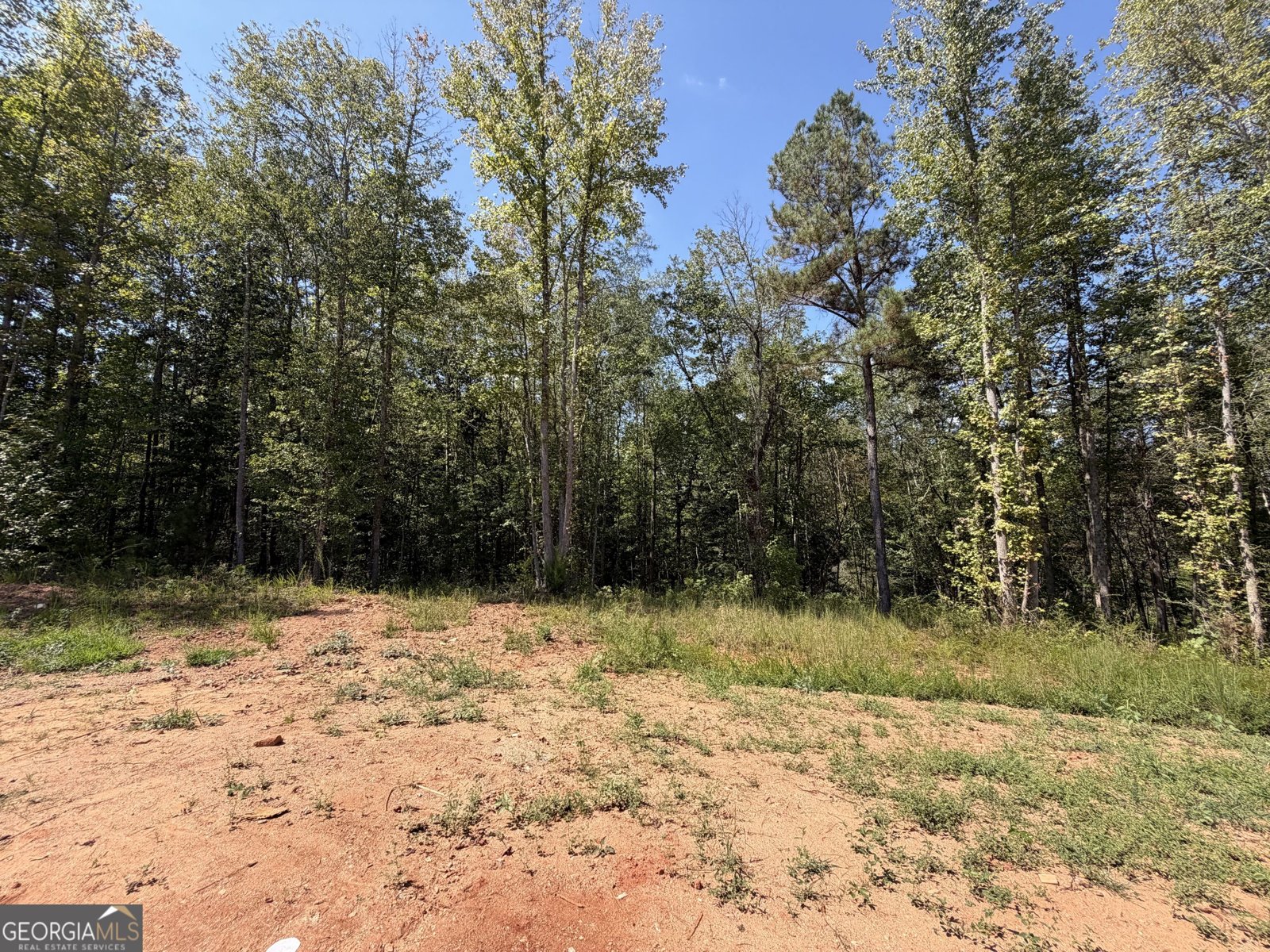 1736 Armstrong Mill Road Franklin - Photo 14