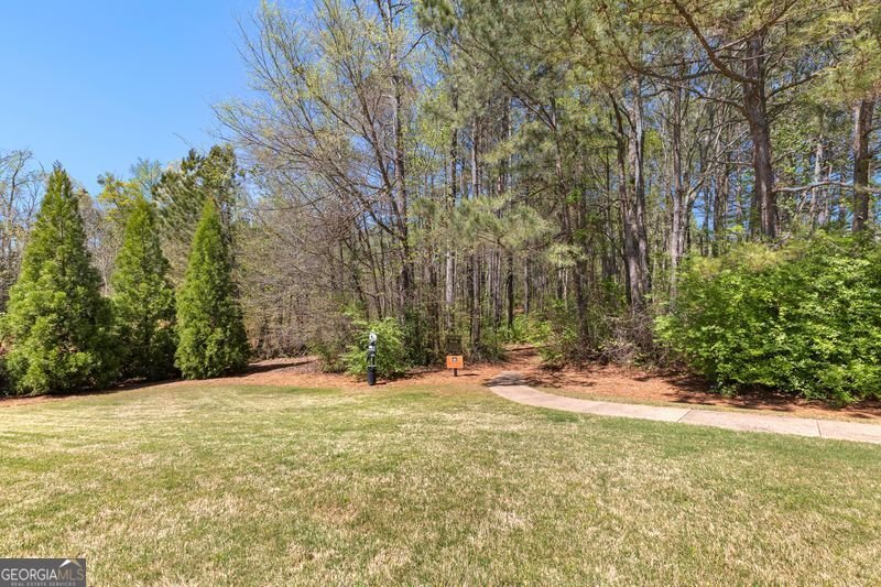 15 Stonebridge Boulevard Newnan - Photo 56