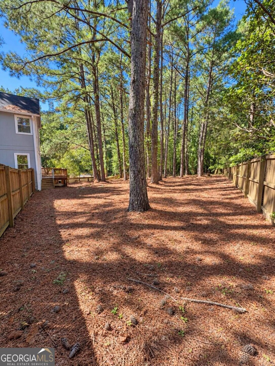 3801 Brittan Glade Trail Snellville - Photo 29