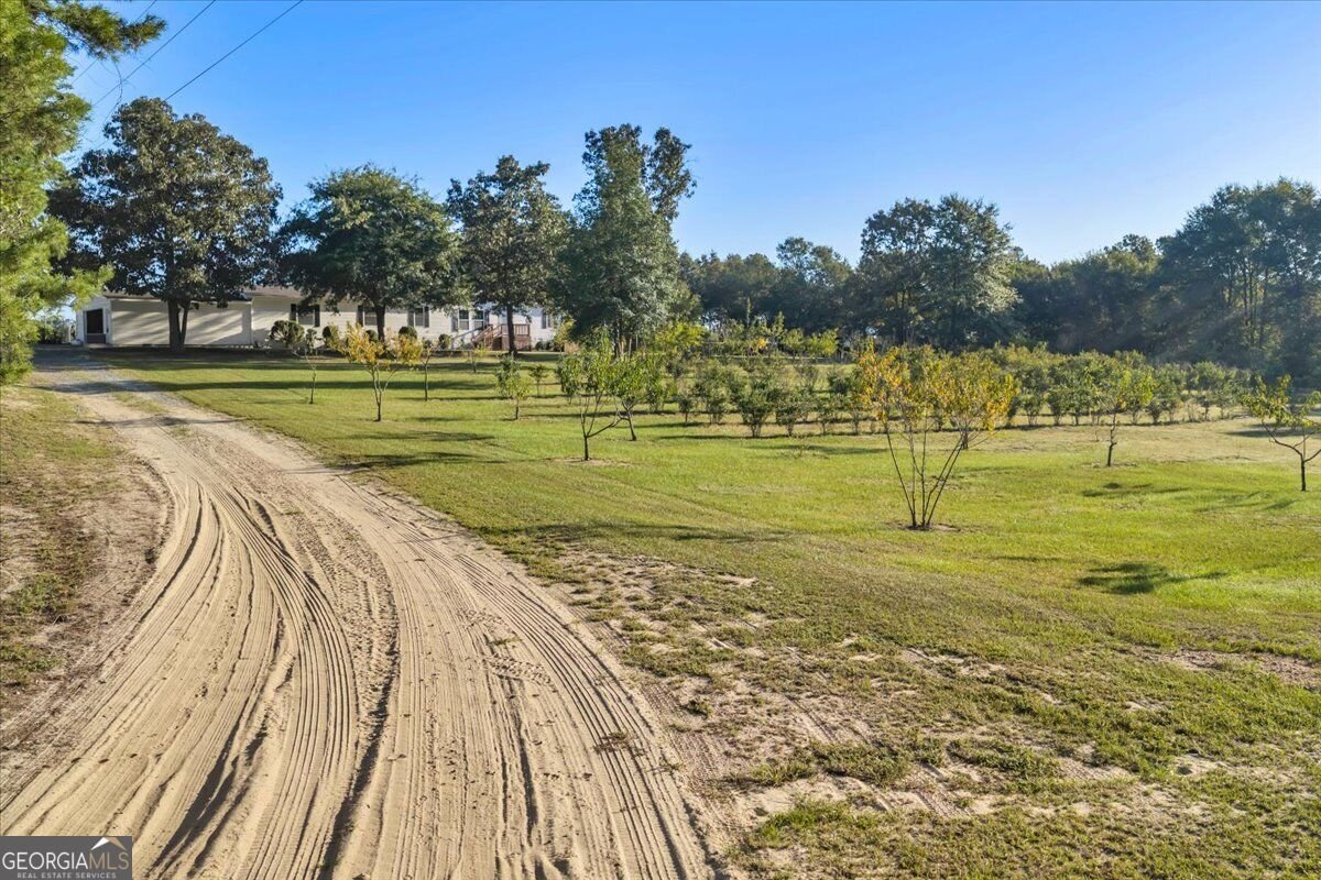 319 Pope Road Roberta - Photo 41