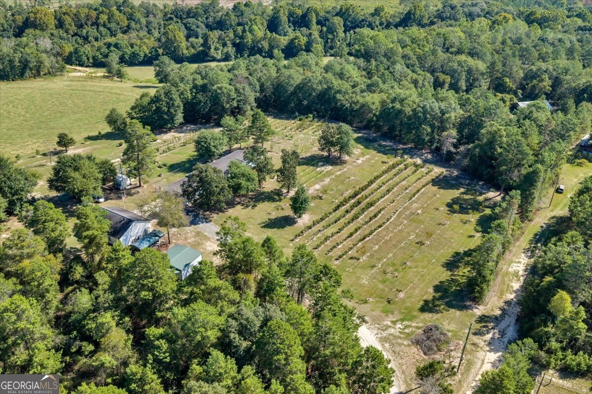319 Pope Road Roberta - Photo 43