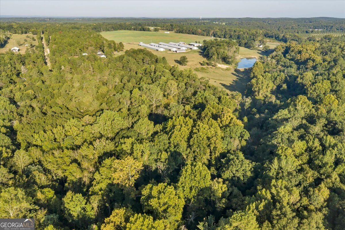319 Pope Road Roberta - Photo 48