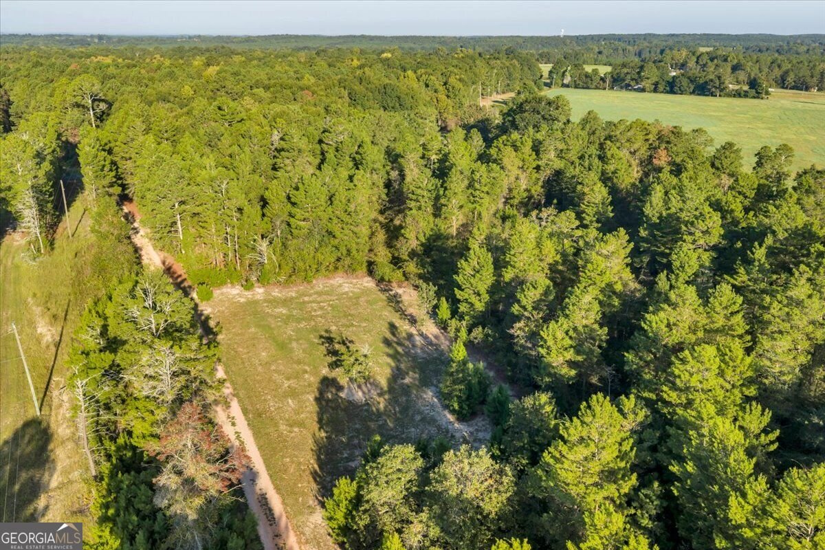 319 Pope Road Roberta - Photo 51