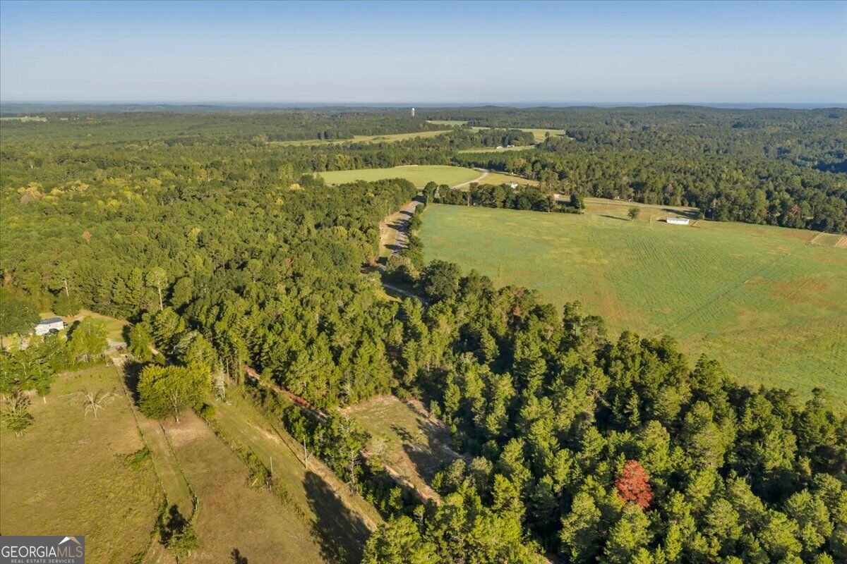 319 Pope Road Roberta - Photo 52