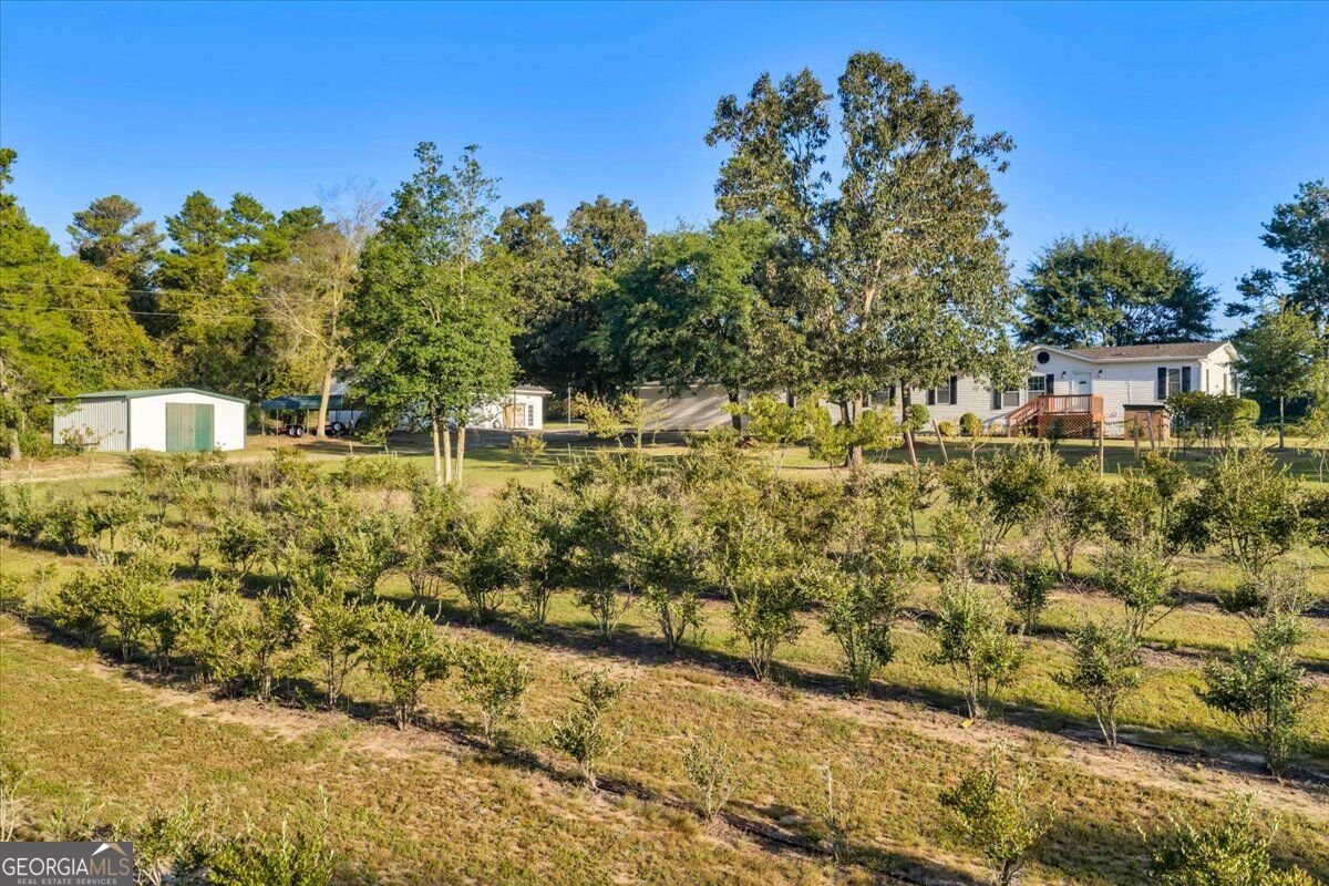 319 Pope Road Roberta - Photo 58