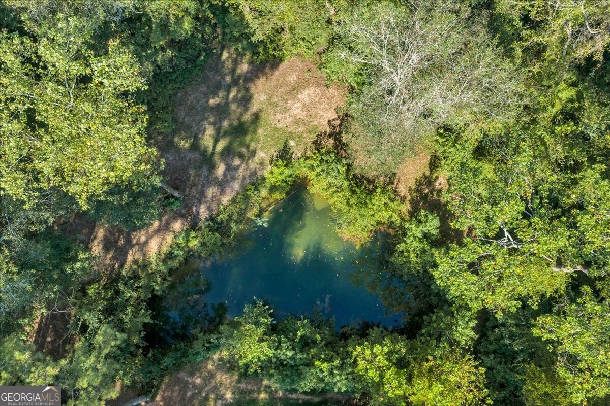 319 Pope Road Roberta - Photo 64