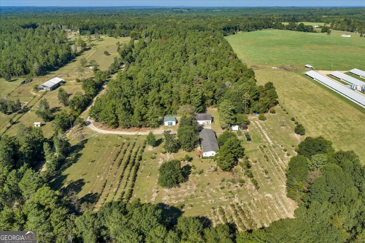 319 Pope Road Roberta - Photo 69