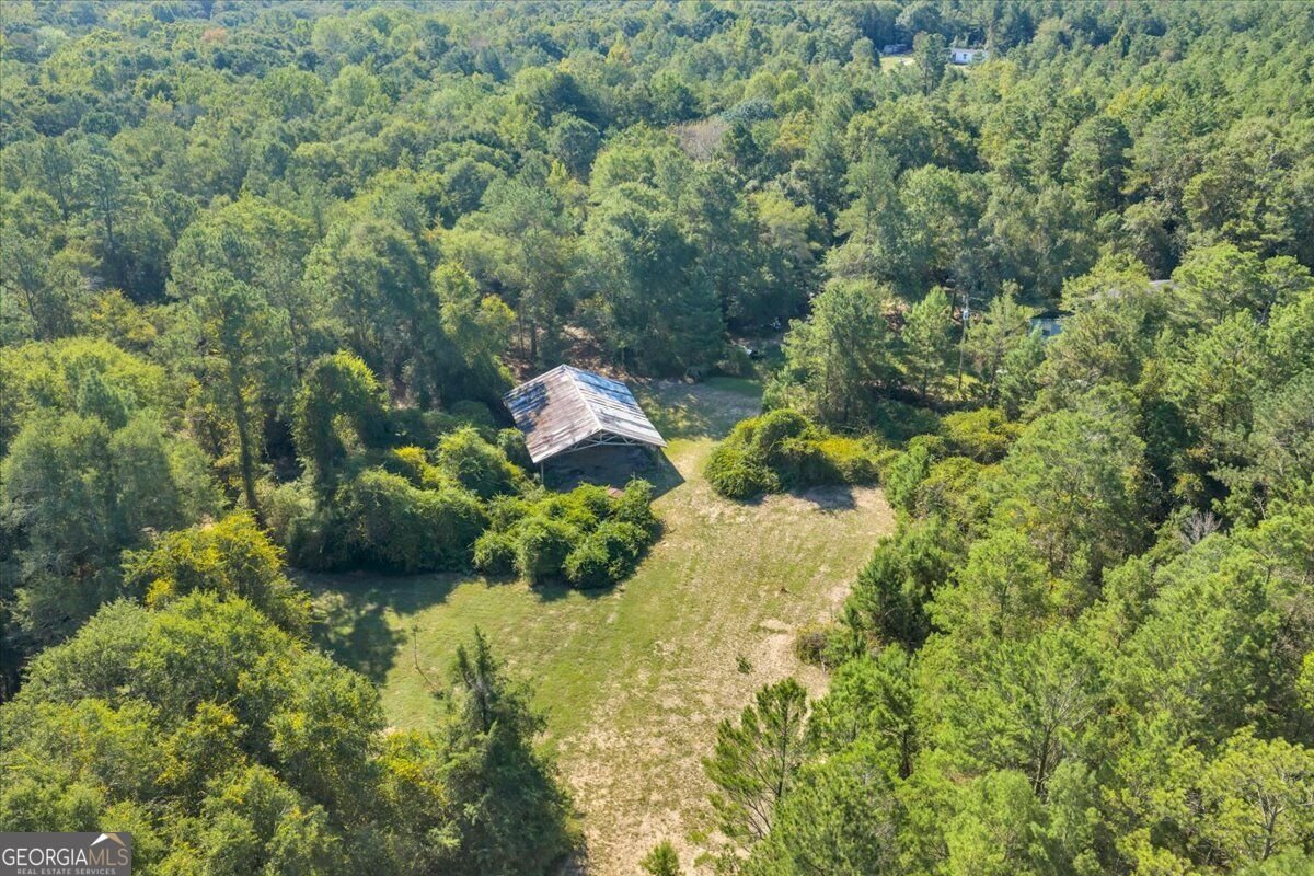 319 Pope Road Roberta - Photo 73