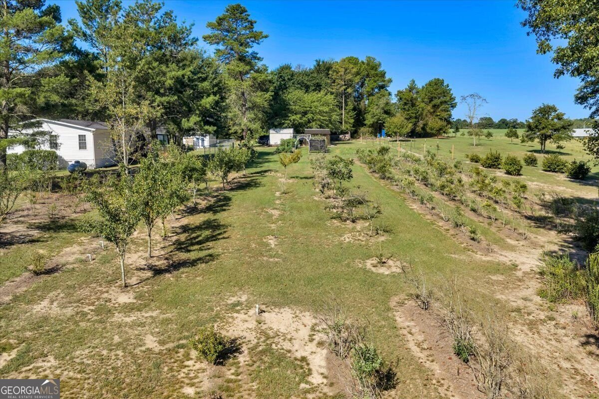 319 Pope Road Roberta - Photo 76