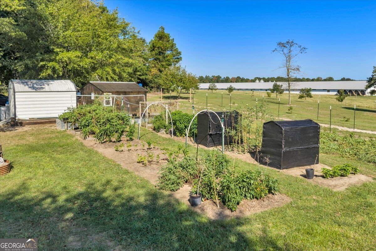 319 Pope Road Roberta - Photo 81