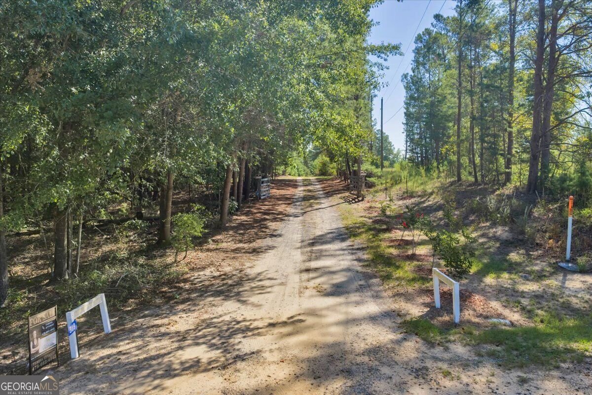 319 Pope Road Roberta - Photo 85