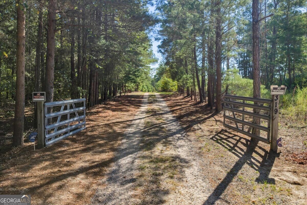 319 Pope Road Roberta - Photo 86