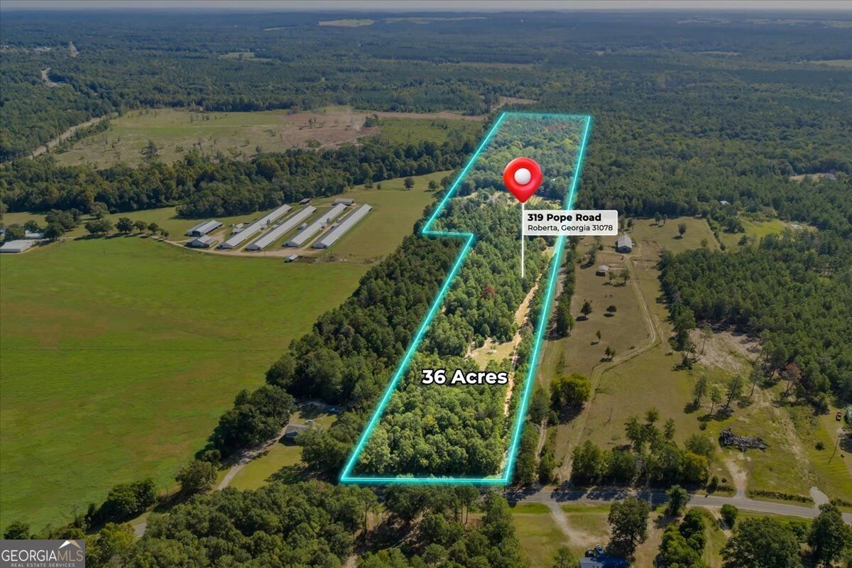 319 Pope Road Roberta - Photo 87