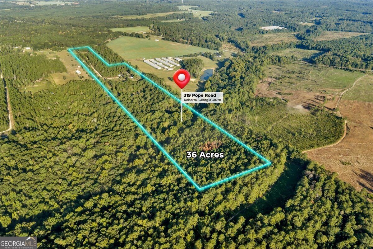319 Pope Road Roberta - Photo 88