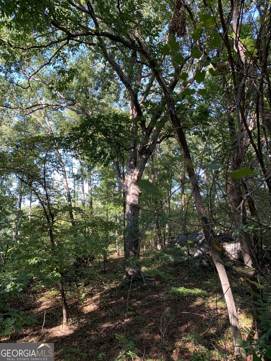 1100 Boat Rock Road Atlanta - Photo 30