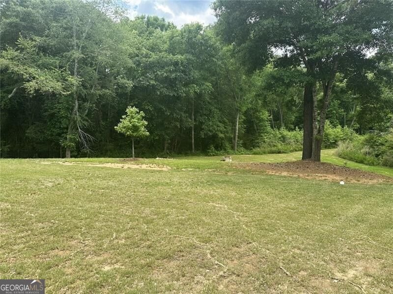 168 Mallard Creek Way Bethlehem - Photo 24