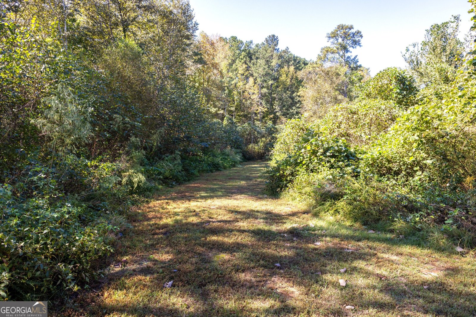 168 Mallard Creek Way Bethlehem - Photo 37