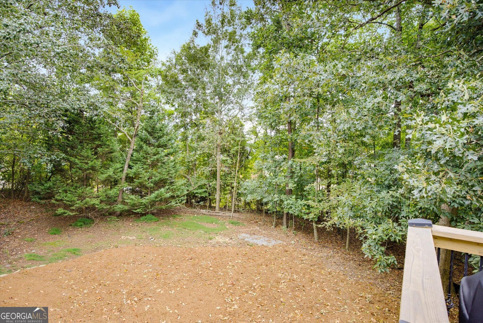 4090 Chestnut Springs Court Cumming - Photo 40