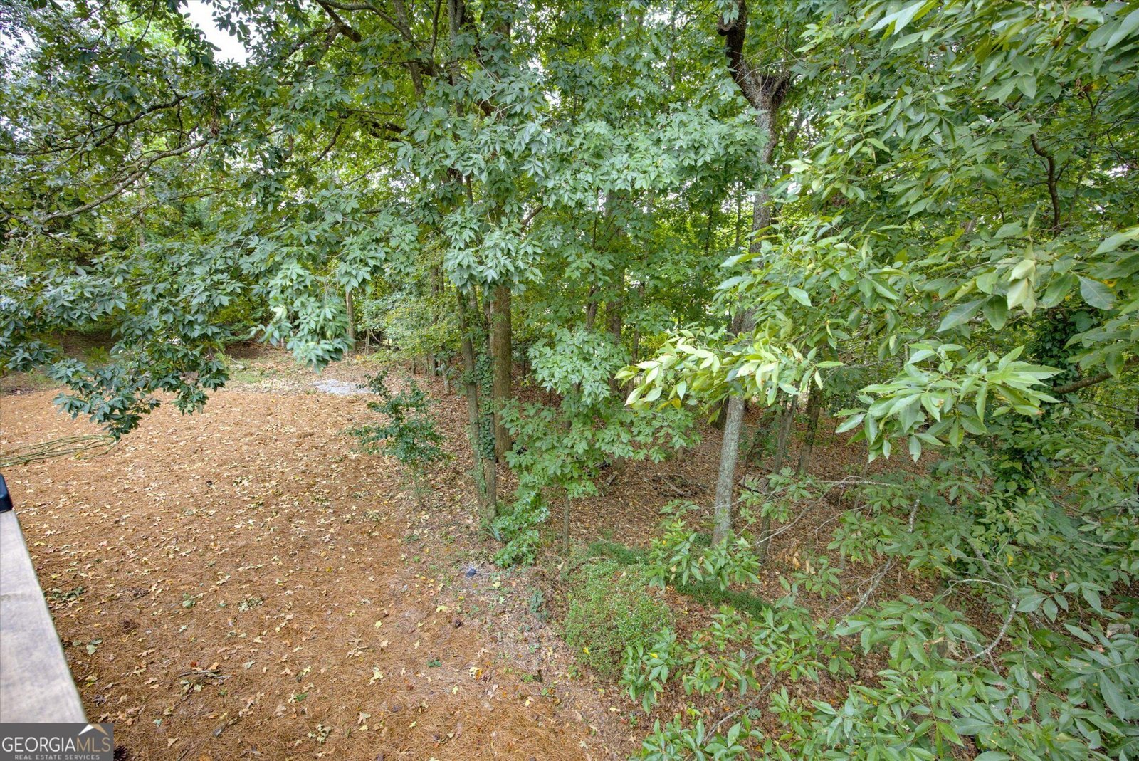 4090 Chestnut Springs Court Cumming - Photo 43