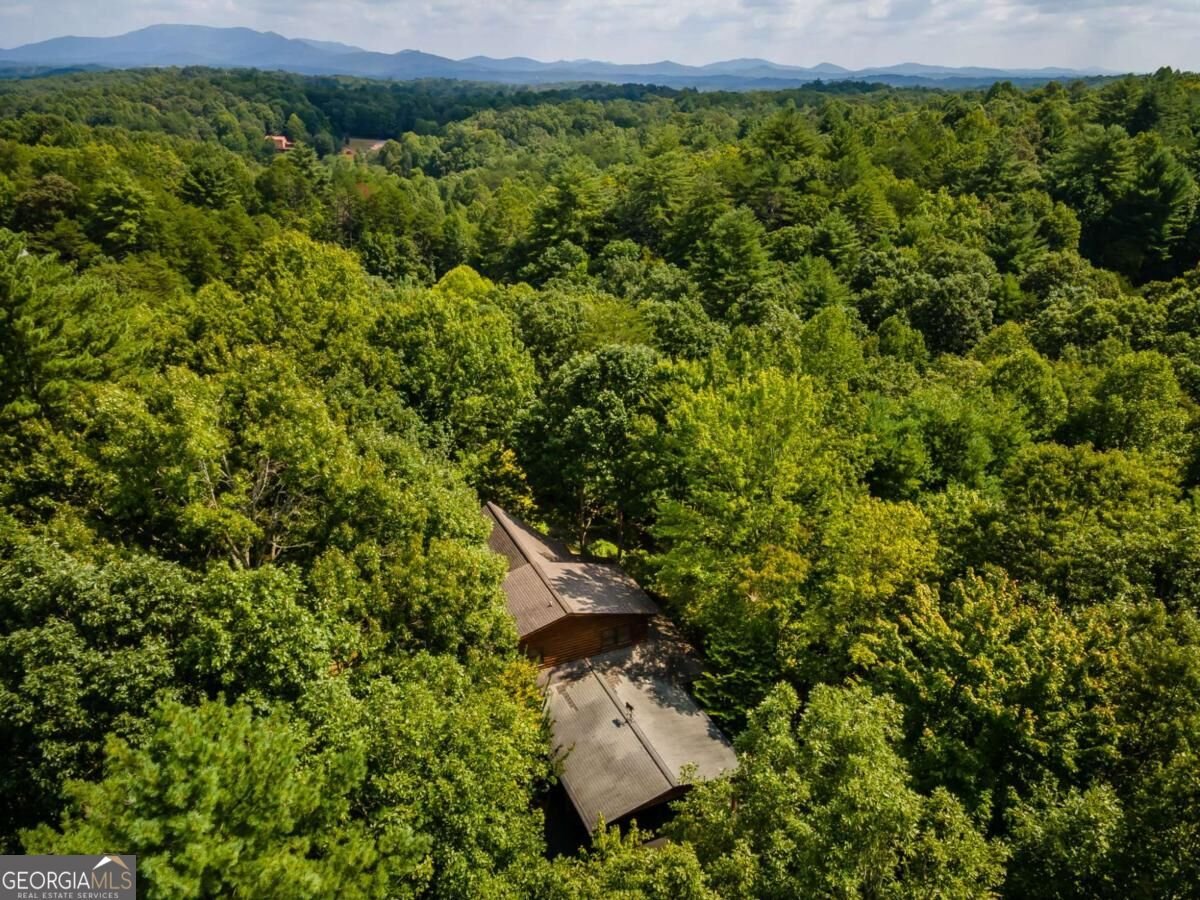 51 Cornerstone Court Mccaysville - Photo 67