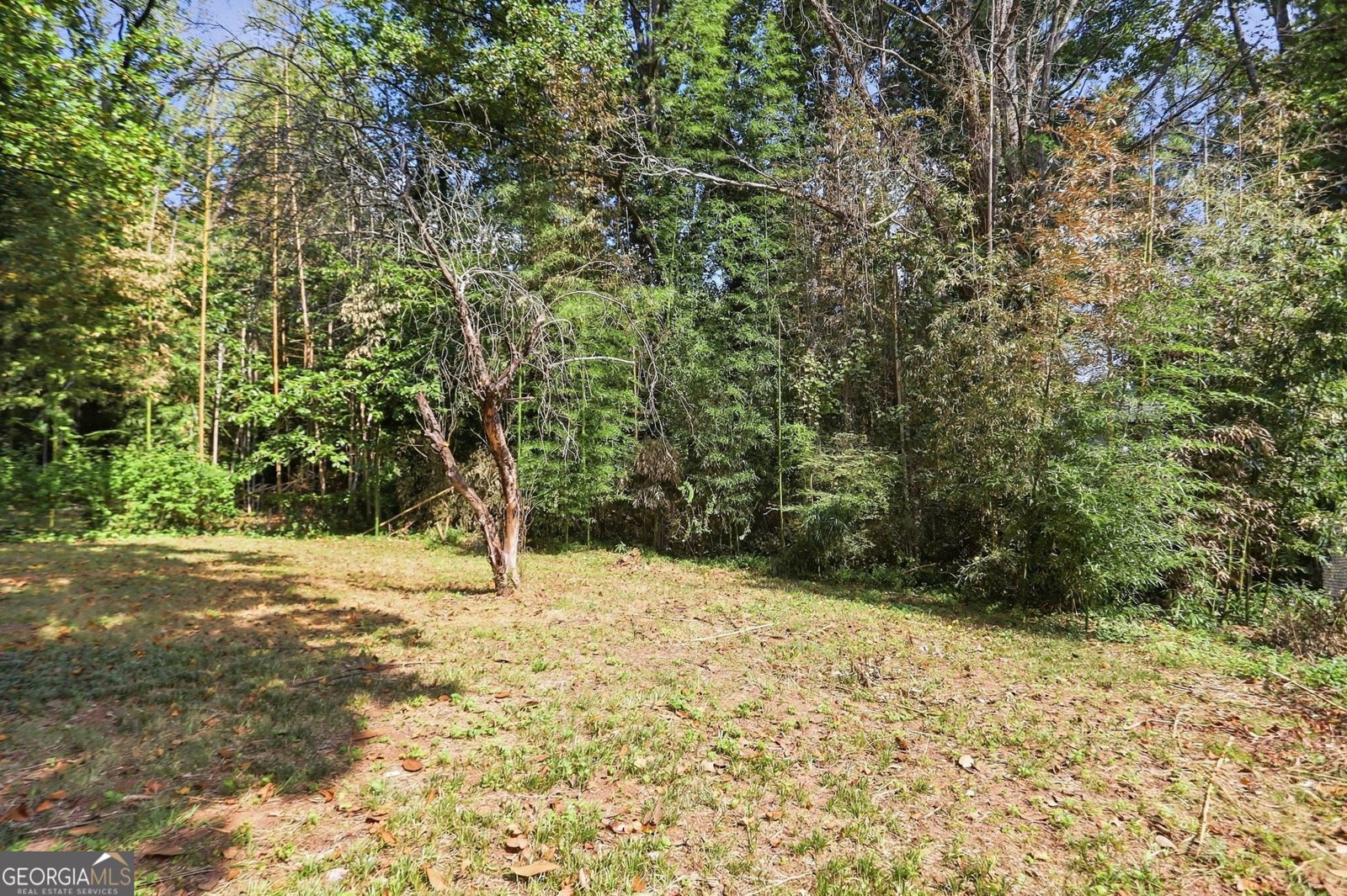 2290 Emerald Springs Drive Decatur - Photo 37