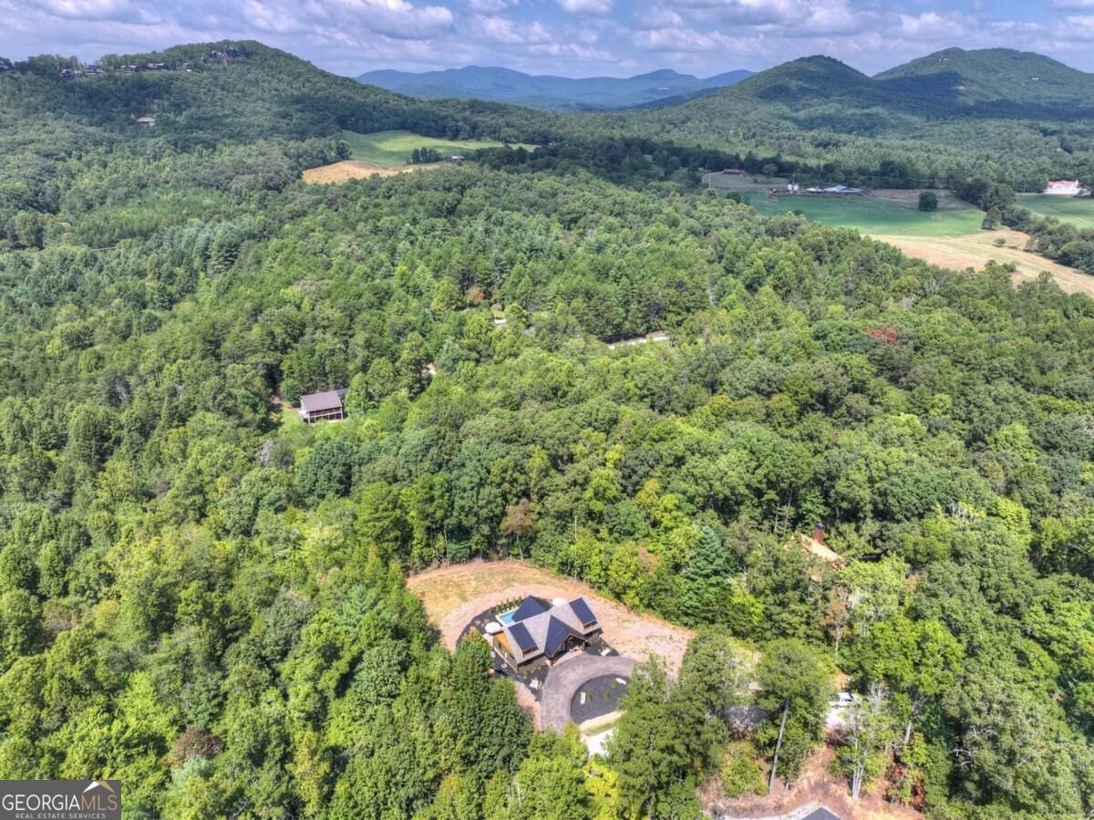 240 Whippoorwill Walk Road Mineral Bluff - Photo 35