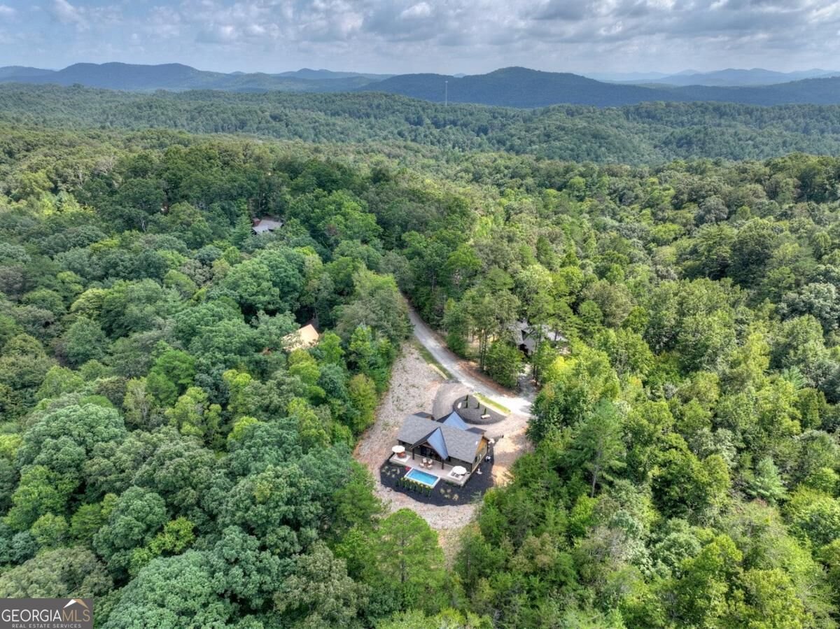 240 Whippoorwill Walk Road Mineral Bluff - Photo 49