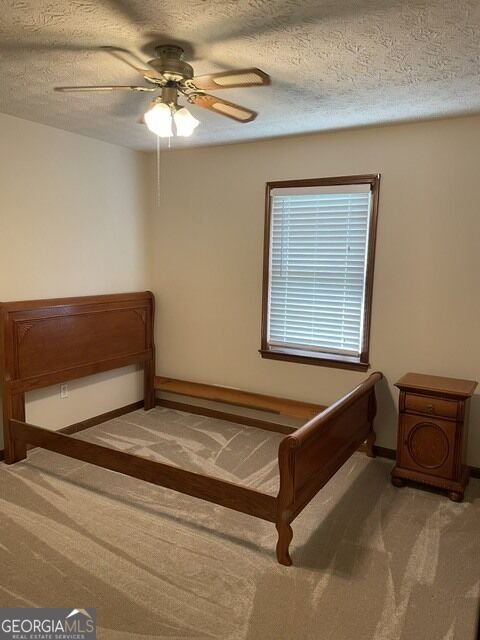 118 Cotton Indian Trail Stockbridge - Photo 11