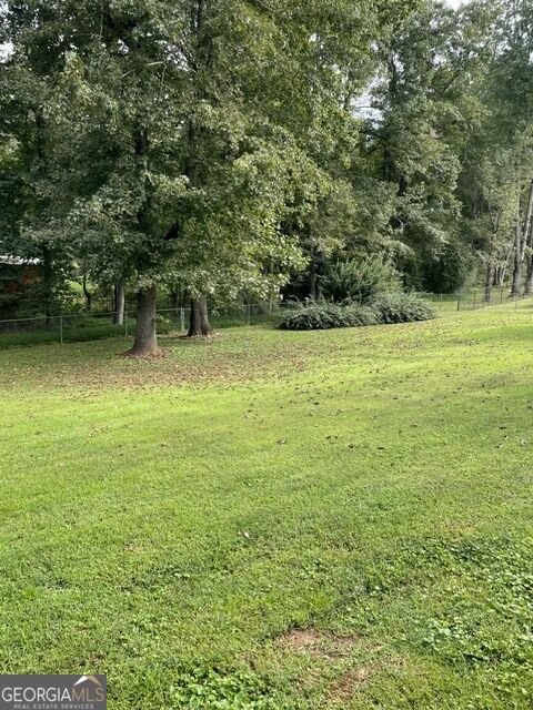118 Cotton Indian Trail Stockbridge - Photo 19