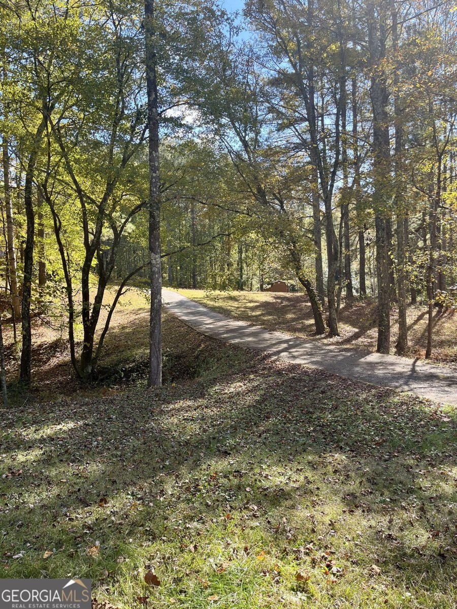 266 Chancey Drive Douglasville - Photo 19