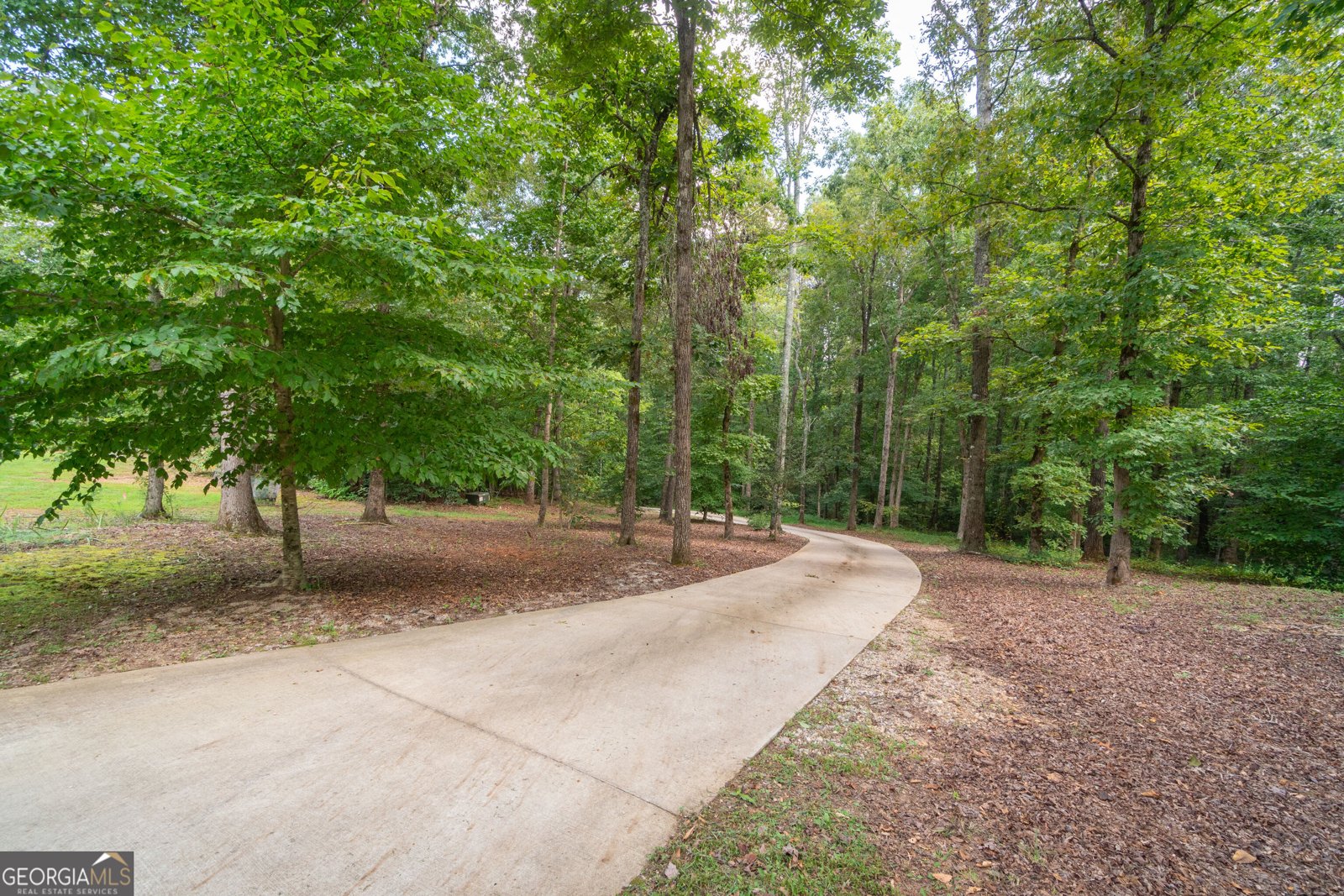 5240 Highway 17 Clarkesville - Photo 73
