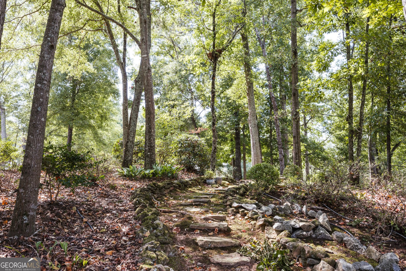 1031 Millers Lake Drive Watkinsville - Photo 52