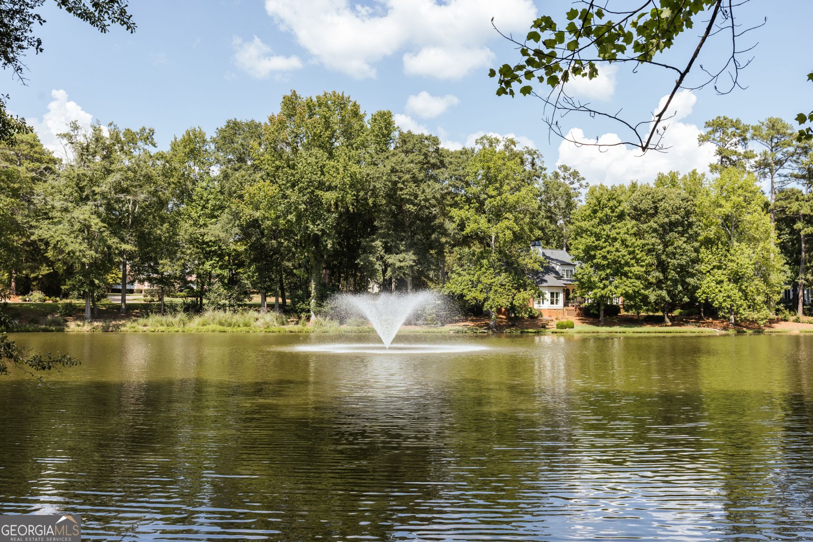 1031 Millers Lake Drive Watkinsville - Photo 59