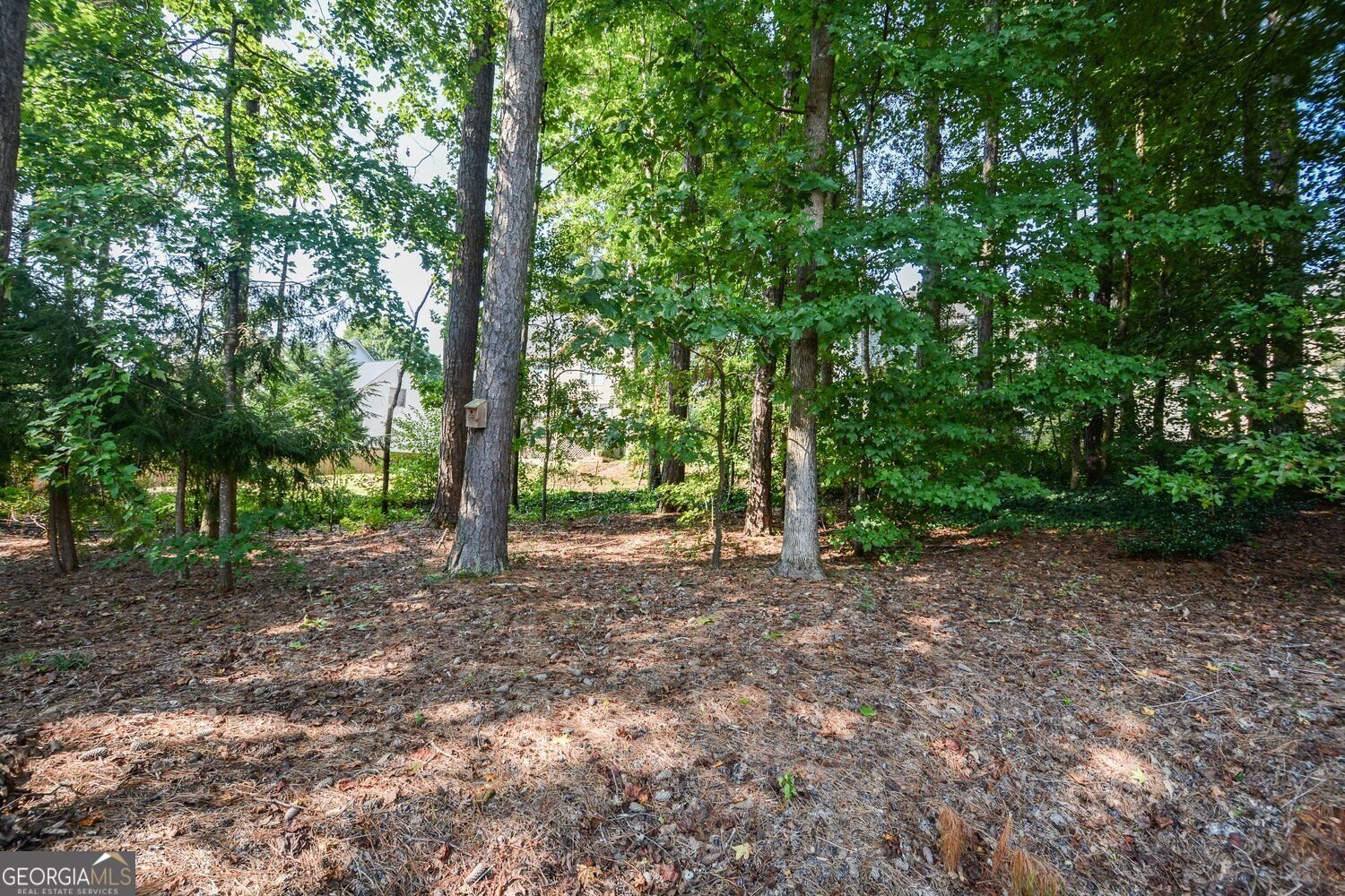 2429 Camden Lake View Acworth - Photo 46