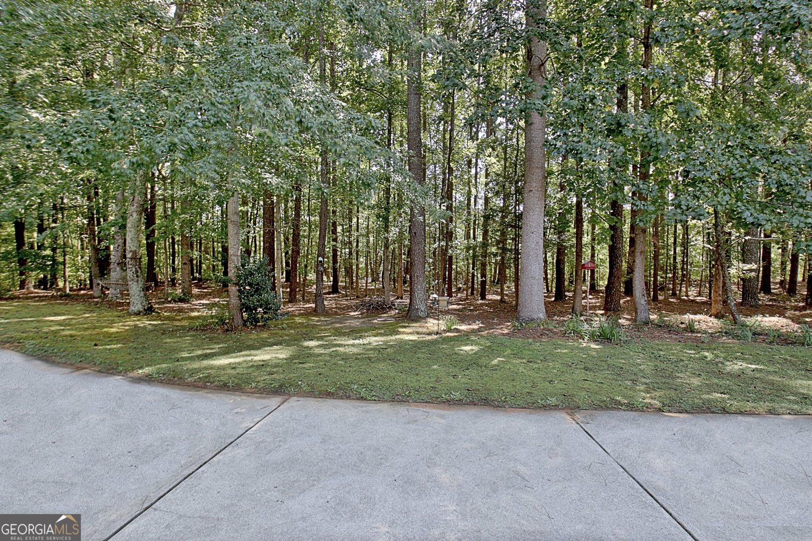 175 Donegal Drive Tyrone - Photo 107
