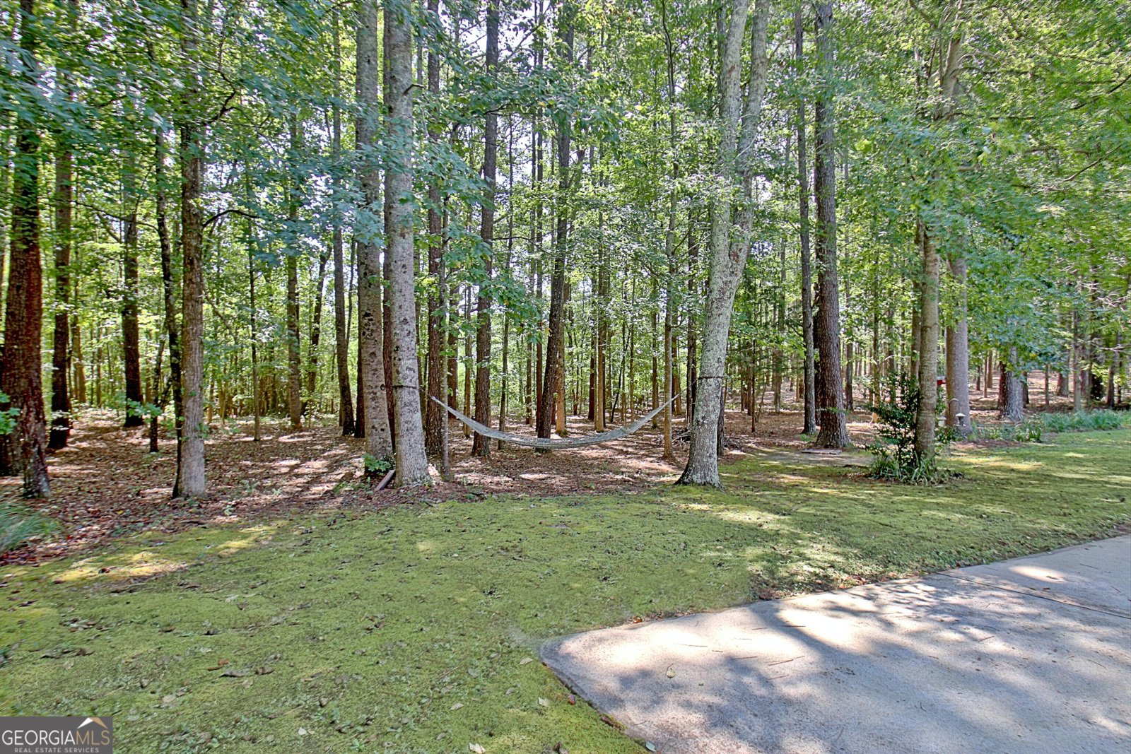175 Donegal Drive Tyrone - Photo 112