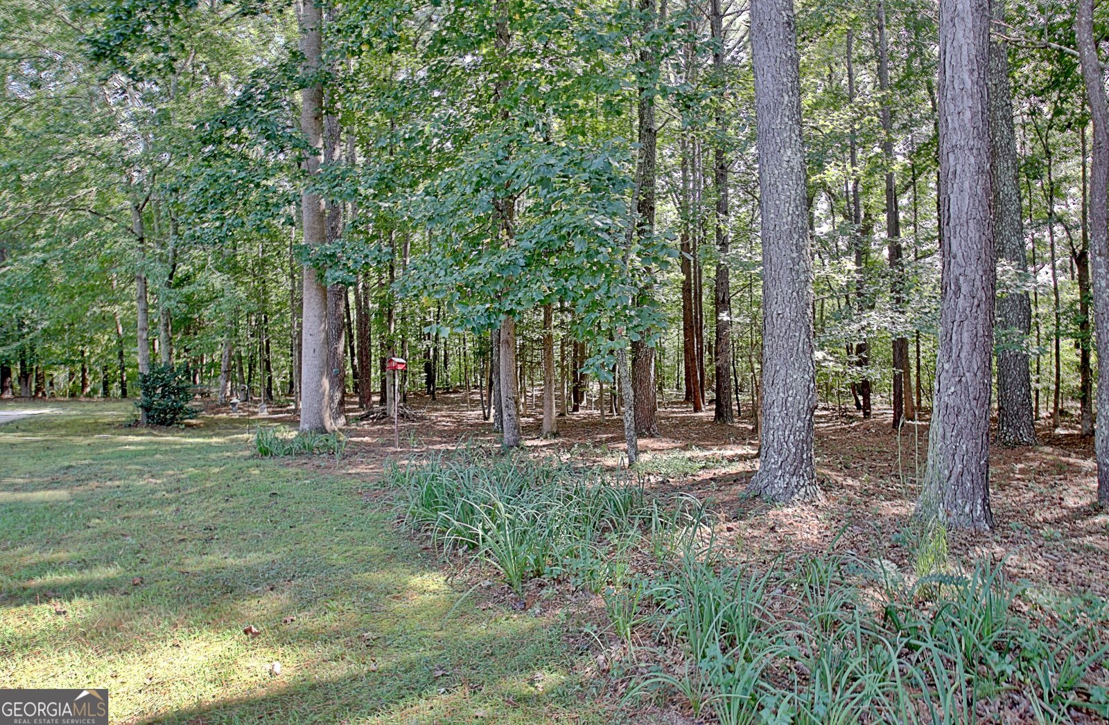 175 Donegal Drive Tyrone - Photo 116