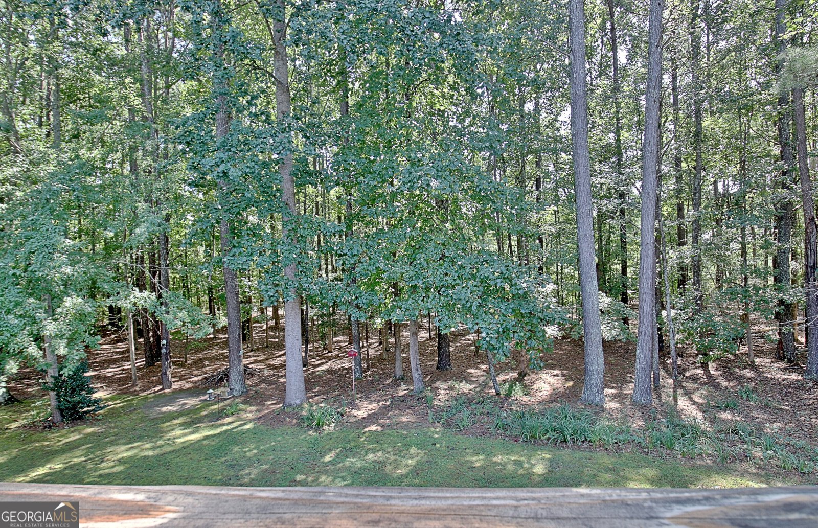 175 Donegal Drive Tyrone - Photo 32