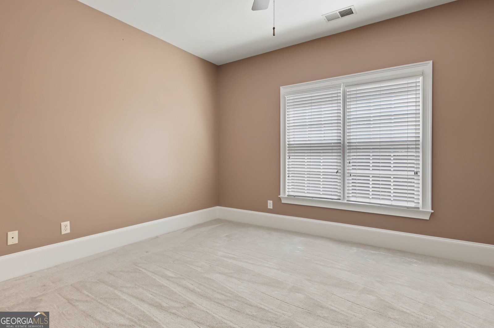 175 Donegal Drive Tyrone - Photo 63