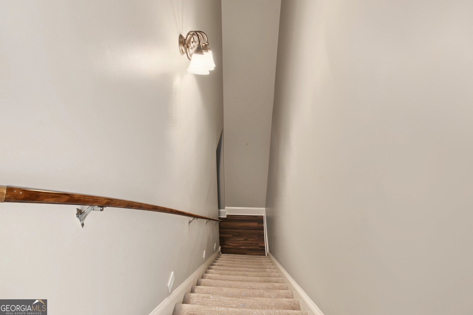 175 Donegal Drive Tyrone - Photo 66