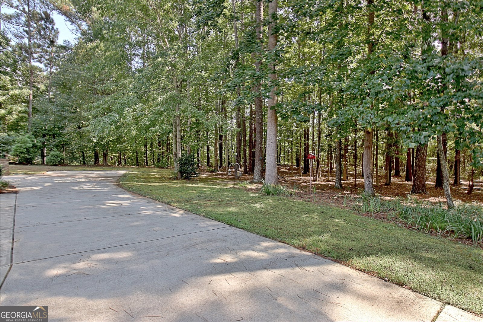 175 Donegal Drive Tyrone - Photo 99