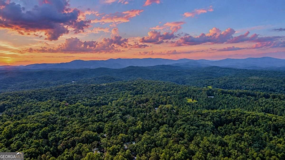 525 Gallery Court Ellijay - Photo 10