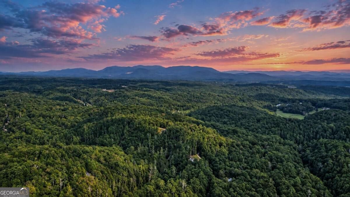 525 Gallery Court Ellijay - Photo 8