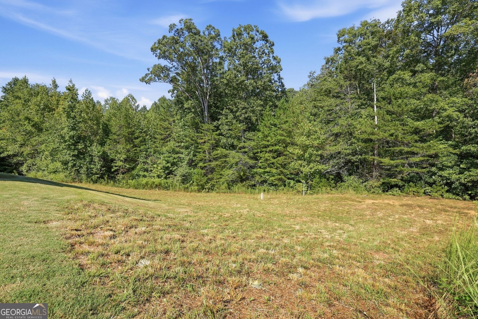617 Huntington Lane Cornelia - Photo 57