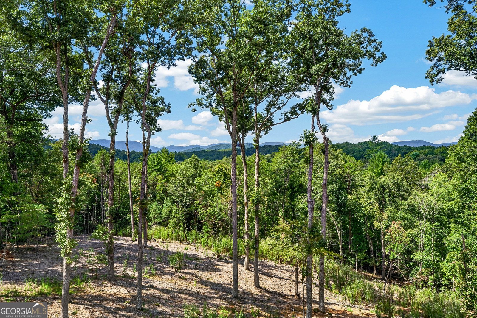 560 Horatio Drive Blue Ridge - Photo 35