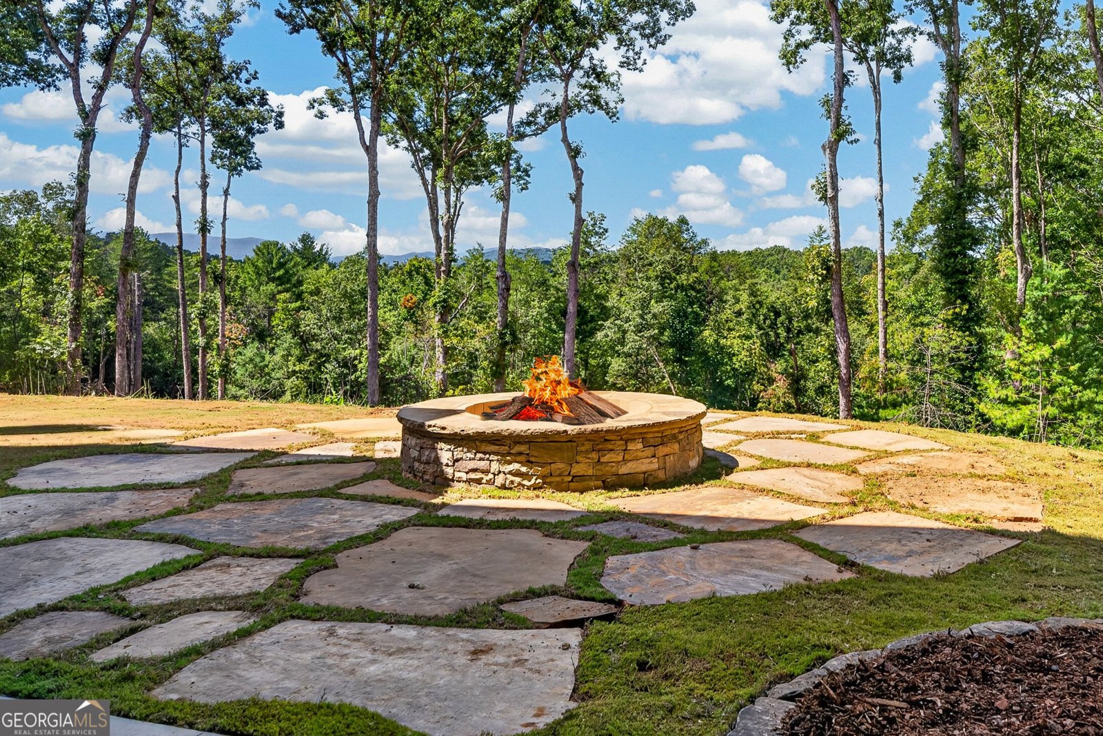 560 Horatio Drive Blue Ridge - Photo 65
