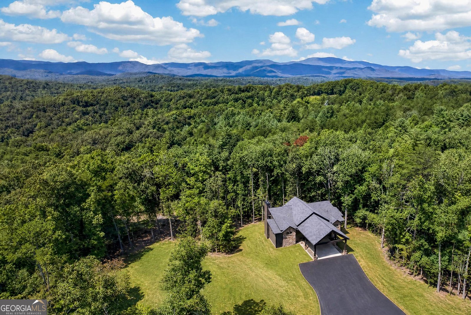 560 Horatio Drive Blue Ridge - Photo 67